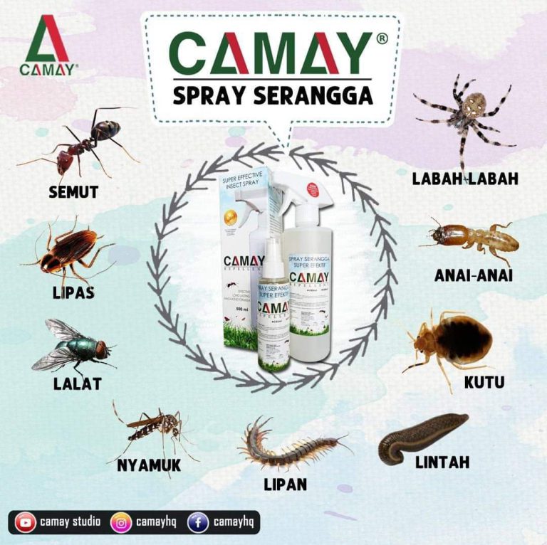 spray camay